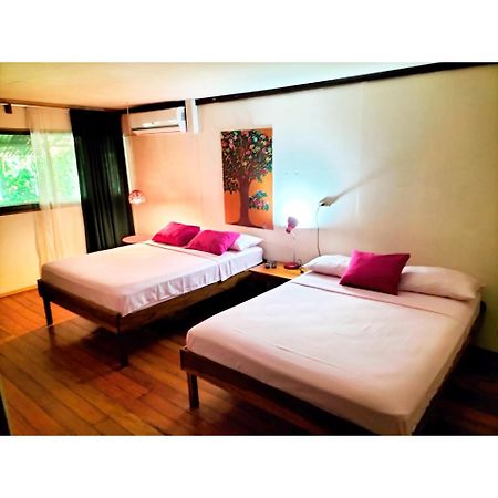 Cabinas Coconut Grove Puerto Viejo de Talamanca Ngoại thất bức ảnh