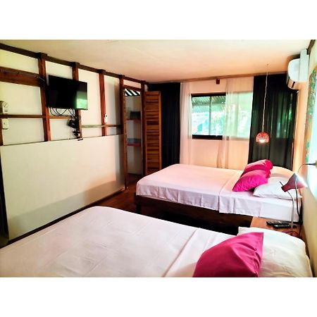 Cabinas Coconut Grove Puerto Viejo de Talamanca Ngoại thất bức ảnh