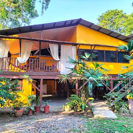 Cabinas Coconut Grove Puerto Viejo de Talamanca Ngoại thất bức ảnh