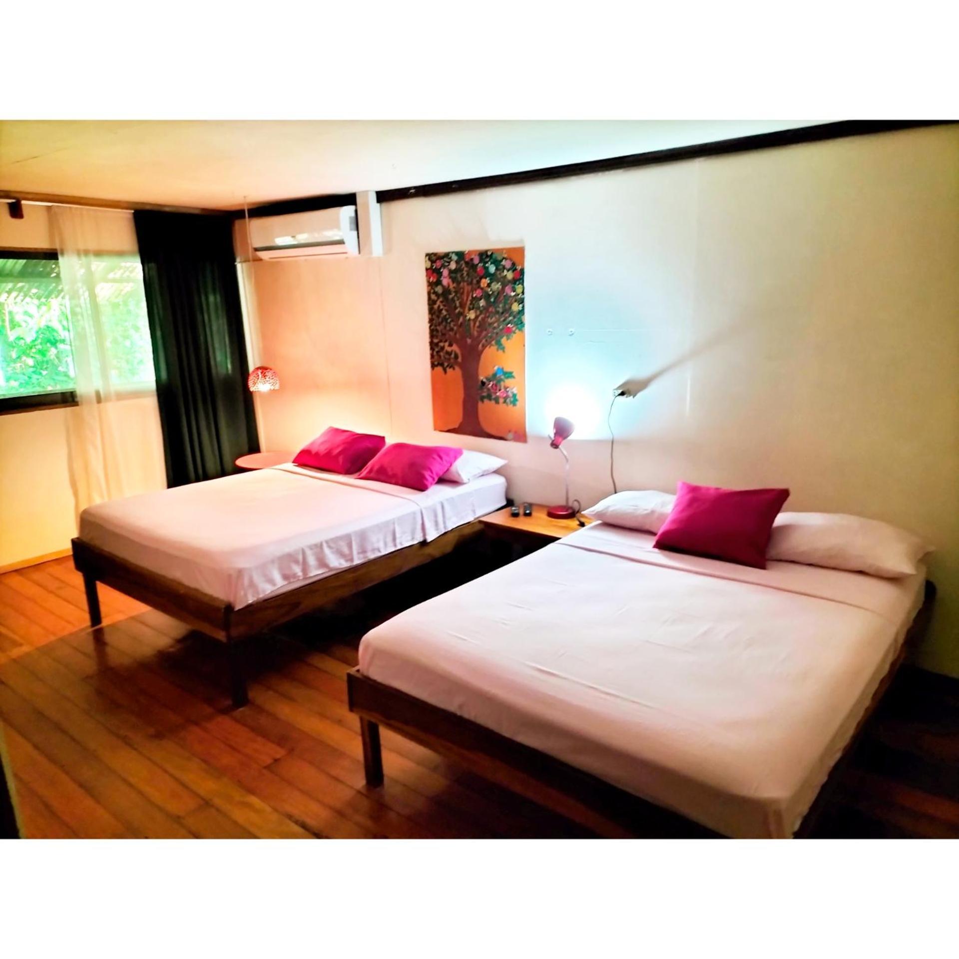 Cabinas Coconut Grove Puerto Viejo de Talamanca Ngoại thất bức ảnh